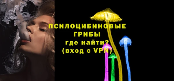 молекула духа Алексин