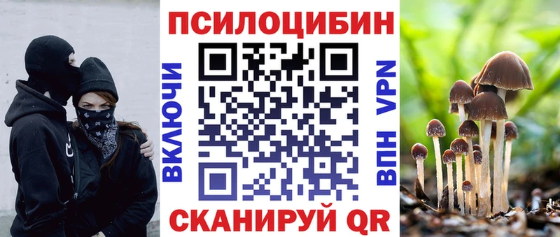 Псилоцибиновые грибы Psilocybe  Обоянь 